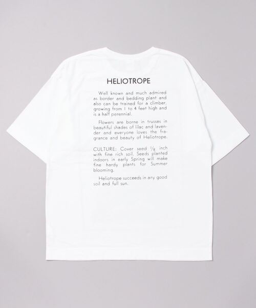 niche.(ニッチ)の「niche./ニッチ Flower Seeds T-Shirts フラワーシードTシャツ(Tシャツ/カットソー・メンズ・ホワイト/パープル/ブルー・M/L/XL)」の6枚目の写真