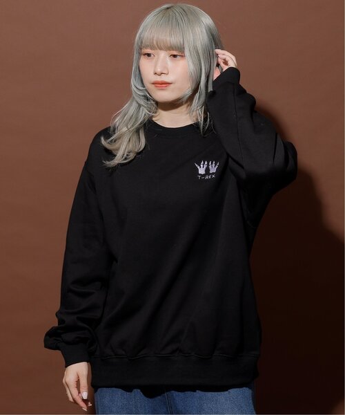 DOUBLE NAME（ダブルネーム）の「恐竜図鑑BACK刺しゅう裏毛プルオーバー/ユニセックス可（Tシャツ/カットソー・レディース・ブラック/オートミール/マスタード・FREE）」の5枚目の写真