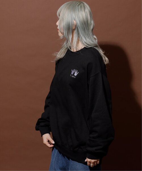 DOUBLE NAME（ダブルネーム）の「恐竜図鑑BACK刺しゅう裏毛プルオーバー/ユニセックス可（Tシャツ/カットソー・レディース・ブラック/オートミール/マスタード・FREE）」の4枚目の写真