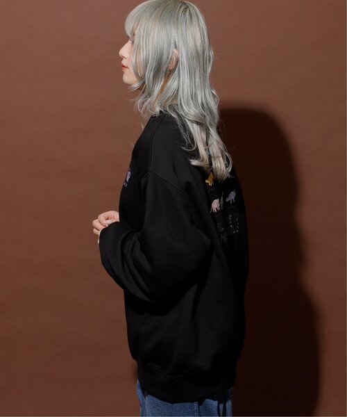 DOUBLE NAME（ダブルネーム）の「恐竜図鑑BACK刺しゅう裏毛プルオーバー/ユニセックス可（Tシャツ/カットソー・レディース・ブラック/オートミール/マスタード・FREE）」の6枚目の写真