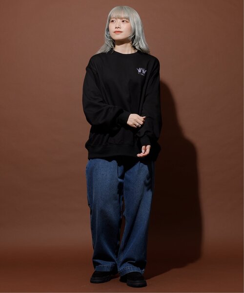 DOUBLE NAME（ダブルネーム）の「恐竜図鑑BACK刺しゅう裏毛プルオーバー/ユニセックス可（Tシャツ/カットソー・レディース・ブラック/オートミール/マスタード・FREE）」の9枚目の写真