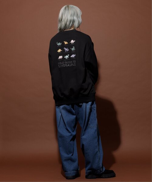DOUBLE NAME（ダブルネーム）の「恐竜図鑑BACK刺しゅう裏毛プルオーバー/ユニセックス可（Tシャツ/カットソー・レディース・ブラック/オートミール/マスタード・FREE）」の10枚目の写真