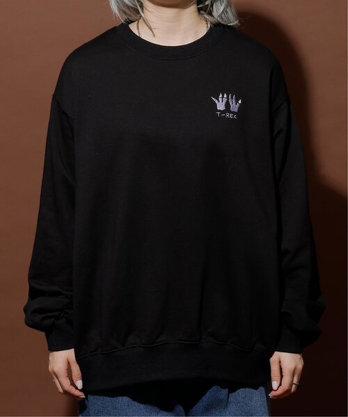 DOUBLE NAME（ダブルネーム）の「恐竜図鑑BACK刺しゅう裏毛プルオーバー/ユニセックス可（Tシャツ/カットソー・レディース・ブラック/オートミール/マスタード・FREE）」の11枚目の写真