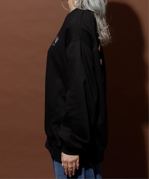 DOUBLE NAME（ダブルネーム）の「恐竜図鑑BACK刺しゅう裏毛プルオーバー/ユニセックス可（Tシャツ/カットソー・レディース・ブラック/オートミール/マスタード・FREE）」の12枚目の写真