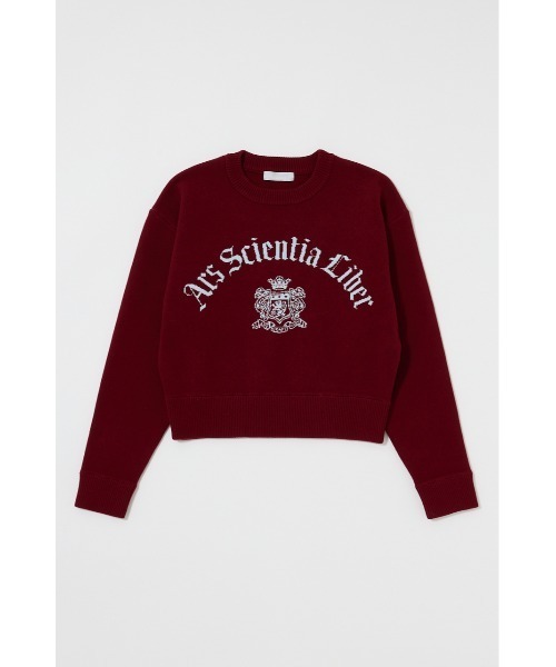 MOUSSY(マウジー)の「SWEATLIKE JAQUARD セーター(ニット/セーター・レディース・ネイビー/アイボリー/トップグレー/ボルドー・FREE)」の19枚目の写真