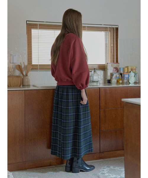 AVANT-G(アバン)の「Tartan Check Pleated Maxi Skirt - GREEN(スカート・レディース・ダークグリーン/ブラウン/レッド・FREE)」の7枚目の写真