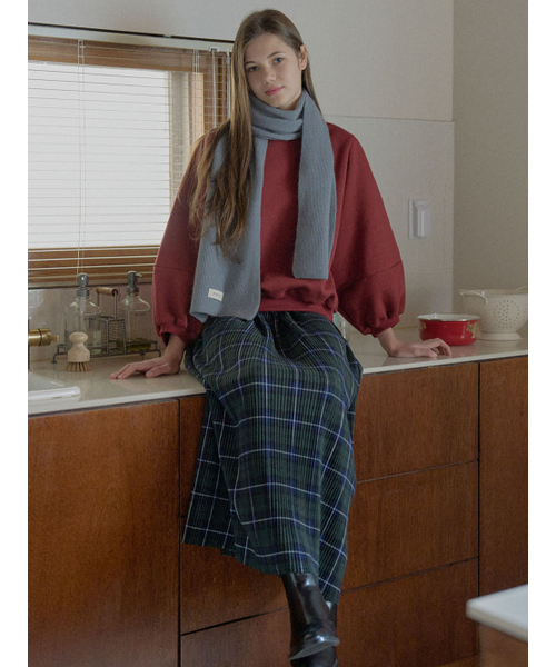 AVANT-G(アバン)の「Tartan Check Pleated Maxi Skirt - GREEN(スカート・レディース・ダークグリーン/ブラウン/レッド・FREE)」の9枚目の写真