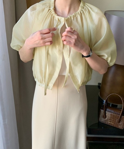 Doula Doula(ドゥーラドゥーラ)の「ギャザーネックボリュームスリーブシアーブラウス(シャツ/ブラウス・レディース・ブラック/ブラウン/イエロー・FREE)」の12枚目の写真