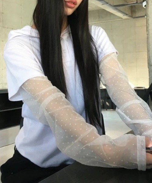 HALEY PESCA(ヘーリーペスカ)の「HALEY PESCA/フェイクレイヤードシアーTシャツ(Tシャツ/カットソー・レディース・ホワイト/ブラック/グレー・FREE)」の1枚目の写真