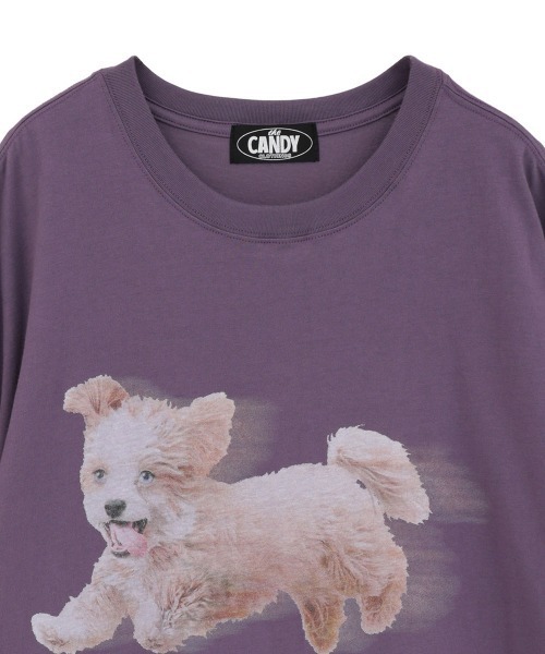 Candy Stripper（キャンディストリッパー）の「MAD DASH DOG BIG BIG Tシャツ（Tシャツ/カットソー・レディース・オフホワイト/ブラック/ライトブルー/パープル・FREE）」の6枚目の写真