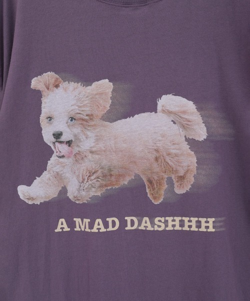 Candy Stripper（キャンディストリッパー）の「MAD DASH DOG BIG BIG Tシャツ（Tシャツ/カットソー・レディース・オフホワイト/ブラック/ライトブルー/パープル・FREE）」の9枚目の写真