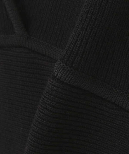 N.（N. Natural Beauty Basic）（エヌエヌナチュラルビューティーベーシック）の「◆リブニットジレ（その他トップス・レディース・ブラック/ライトベージュ・MEDIUM）」の15枚目の写真