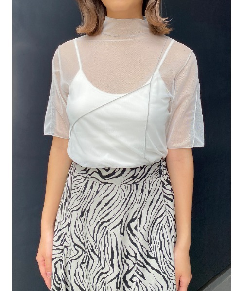 ENVYM（アンビー）の「ハーフスリーブシアーＴＯＰＳ（Tシャツ/カットソー・レディース・ホワイト/ブラック・FREE）」の15枚目の写真