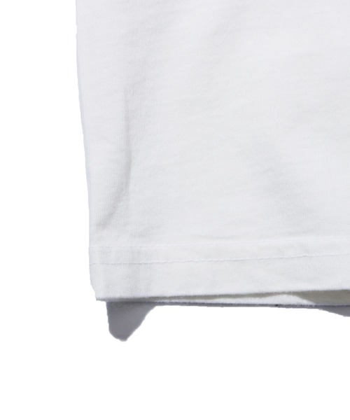 STUSSY（ステューシー）の「STUSSY/ステューシー STOCK PIG