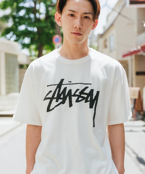 STUSSY（ステューシー）の「STUSSY/ステューシー STOCK PIG