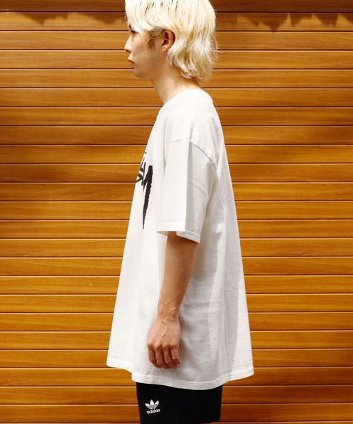 STUSSY（ステューシー）の「STUSSY/ステューシー STOCK PIG