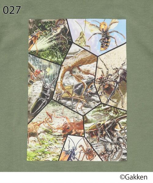 SHOO・LA・RUE（シューラルー）の「◆【最強王図鑑×SHOO・LA・RUE】8分割プリントTシャツ（Tシャツ/カットソー・キッズ・カーキ/アイボリー/ライトベージュ/ブラック・13/12/11/14）」の15枚目の写真