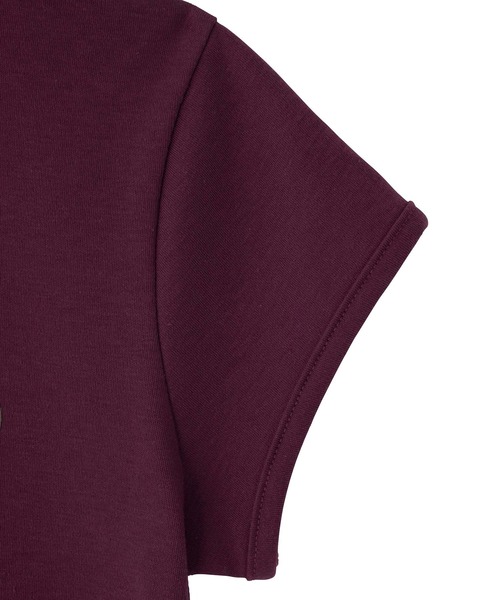 X-girl（エックスガール）の「OBLONG OVAL LOGO BABY TEE（Tシャツ/カットソー・レディース・バーガンディー/ホワイト/チャコール・M/S）」の6枚目の写真