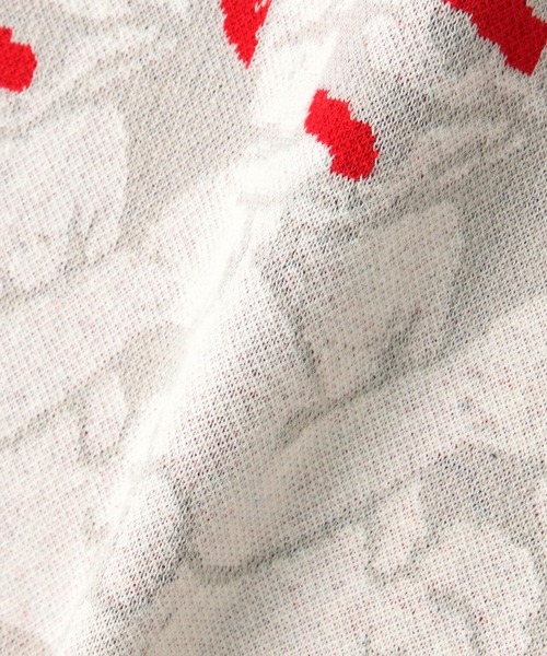 TAIN DOUBLE PUSH（タインダブルプッシュ）の「TAIN DOUBLE PUSH/タインダブルプッシュ/別注KNIT CREW（ニット/セーター・メンズ・ブラック/モスグリーン/ホワイト・L/XL/M）」の11枚目の写真