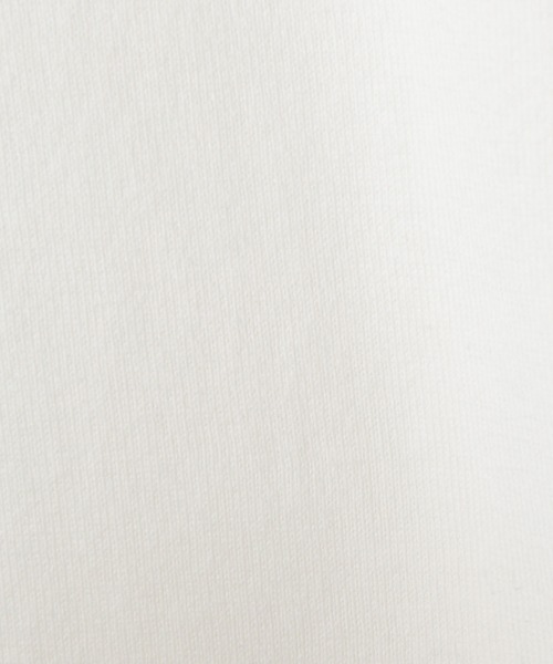 HANES（ヘインズ）の「【Hanes/ヘインズ】HM1-X201  ”SHIRO” CREW NECK T-SHIRT/ SHIRO 半袖Tシャツ（Tシャツ/カットソー・メンズ・ホワイト・XL/L/M/S）」の6枚目の写真