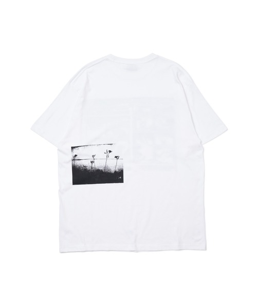 NON TOKYO(ノントーキョー)の「NON TOKYO/ノントーキョー/プリントBIG Tシャツ(コミック)(Tシャツ/カットソー・レディース・ホワイト/ブラック/ブルー・F)」の4枚目の写真