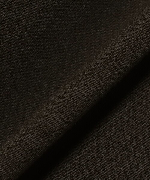 Demi-Luxe BEAMS(デミルクス ビームス)の「【別注】SLOANE / 裏毛 ハーフジップ ワンピース(ワンピース・レディース・ブルー系その他4/ダークグリーン・1/2)」の15枚目の写真