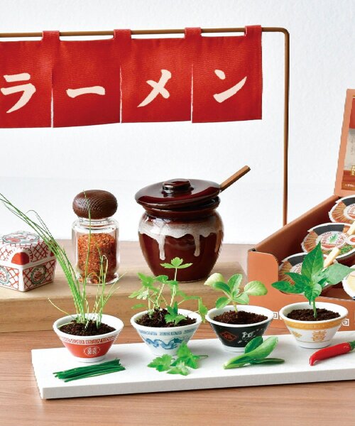 BIRTHDAY BAR(バースデイバー)の「ラーメン薬味栽培キット(インテリア雑貨・レディース・ブラック/ホワイト/イエロー/レッド・0)」の11枚目の写真