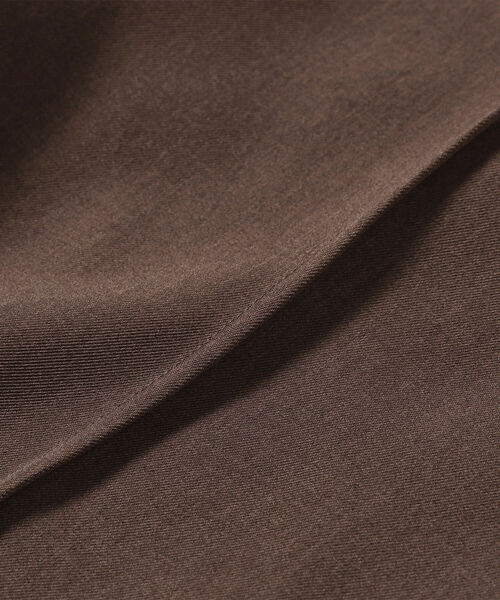 Ray BEAMS（レイビームス）の「Ray BEAMS / ピンタック ショートパンツ（その他パンツ・レディース・ダークブラウン/ベージュ・0/1）」の19枚目の写真