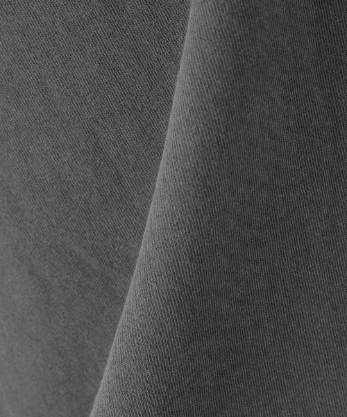 Carhartt WIP(カーハートダブリューアイピー)の「【Carhartt WIP / カーハート ダブリューアイピー】S/S NELSON T-SHIRT(Tシャツ/カットソー・メンズ・ブラック/パープル/ホワイト×ホワイト/キャメル・MEDIUM/LARGE)」の17枚目の写真