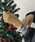Chillfar�i�`���t�@�[�j�́u�J���[���C�����u�j�b�g��܁i��܁j�v�b�A�C�{���[