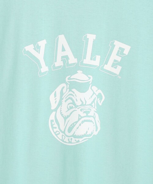 J.PRESS YORK STREET(ジェイプレスヨークストリート)の「【UNISEX】YALE ブルフェイス Tシャツ(Tシャツ/カットソー・メンズ・ピーコックグリーン系/ネイビー系/ホワイト系・SMALL/MEDIUM/LARGE)」の5枚目の写真