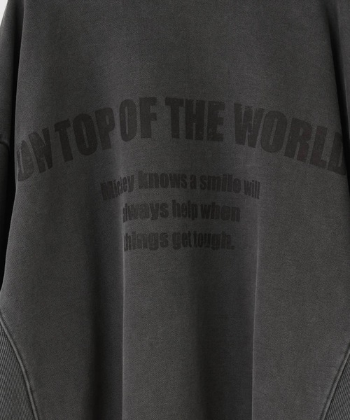 LOWRYS FARM(ローリーズファーム)の「Disney/BIGウラケPOLS 142873(Tシャツ/カットソー・レディース・グレー/チャコールグレー・FREE)」の12枚目の写真