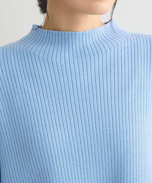 Green Parks(グリーンパークス)の「洗えるボトルネックリブニットプルオーバー(ニット/セーター・レディース・ライトグレー/ピンク/ミント/サックスブルー/オフホワイト・FREE)」の20枚目の写真