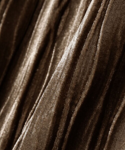 Ray BEAMS（レイビームス）の「プリーツ ベロア タイト スカート（スカート・レディース・ブラック/ダークブラウン・0/1）」の20枚目の写真