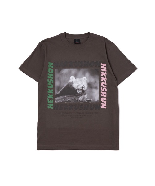 NON TOKYO(ノントーキョー)の「NON TOKYO/ノントーキョー/プリントTシャツ(アライグマ)(Tシャツ/カットソー・レディース・ホワイト/ブラック/ブラウン・1/2)」の3枚目の写真