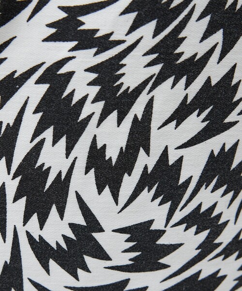 MASTER&Co(マスターアンドコー)の「MASTER & Co. (マスターアンドコー) ×ELEY KISHIMOTO DAYPACK / イーリーキシモト / FLASH デイパック / 7740005(バックパック/リュック・メンズ・その他・フリー)」の7枚目の写真