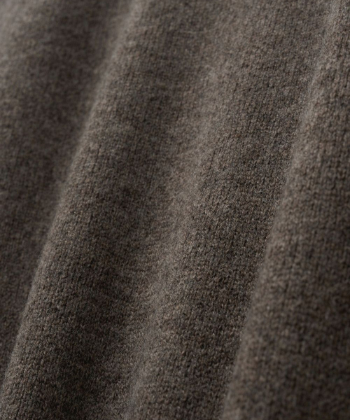 TNGT（ティーエヌジーティー）の「Cashmere Blended Essential Polo Knit Top (Brown) TNSW6F110W2（ニット/セーター・レディース・その他・100/105/110/95）」の2枚目の写真