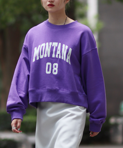 JOINT WORKS（ジョイントワークス）の「カレッジ ウラケプルオーバー（スウェット・レディース・ライトグレー/ネイビー/パープル・FREE）」の3枚目の写真