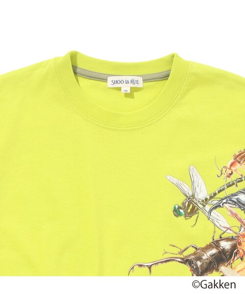 SHOO・LA・RUE（シューラルー）の「◆【最強王図鑑×SHOO・LA・RUE】裾レイヤードTシャツ（Tシャツ/カットソー・キッズ・パープル系/グレー/ブラック/イエロー・14/11/13/12）」の8枚目の写真