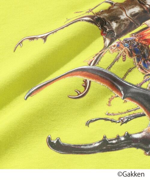 SHOO・LA・RUE（シューラルー）の「◆【最強王図鑑×SHOO・LA・RUE】裾レイヤードTシャツ（Tシャツ/カットソー・キッズ・パープル系/グレー/ブラック/イエロー・14/11/13/12）」の11枚目の写真