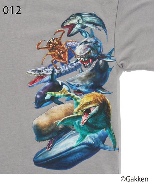 SHOO・LA・RUE（シューラルー）の「◆【最強王図鑑×SHOO・LA・RUE】裾レイヤードTシャツ（Tシャツ/カットソー・キッズ・パープル系/グレー/ブラック/イエロー・14/11/13/12）」の12枚目の写真