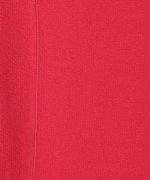 BEAUTY&YOUTH UNITED ARROWS（ビューティーアンドユースユナイテッドアローズ）の「コットンダブルフェイス Iライン マキシワンピース（ワンピース・レディース・ブラック/レッド・FREE）」の16枚目の写真