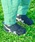 SUKUSUKU�i�X�N�X�N�j�́uASICS KIDS�i�A�V�b�N�X �L�b�Y�jSUKU2�i�X�N�X�N�j�A�C�_�z BABY KT-ES 5�i�X�j�[�J�[�j�v�b�l�C�r�[