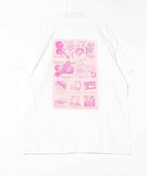ROSE BUD(ローズバッド)の「Botanical garden T-shirts(Tシャツ/カットソー・レディース・ホワイト/ブラック・ONE SIZE)」の11枚目の写真