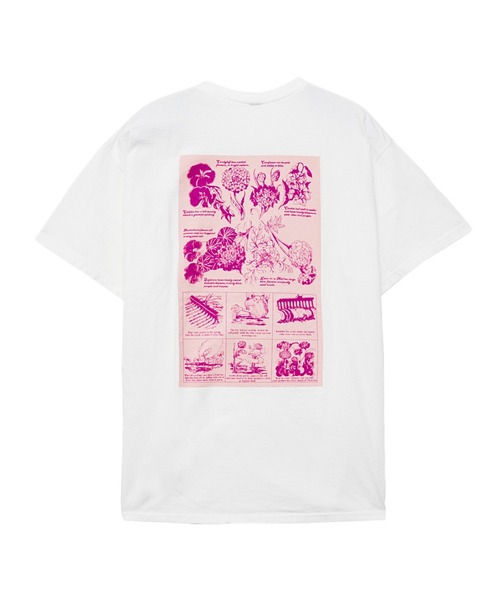 ROSE BUD(ローズバッド)の「Botanical garden T-shirts(Tシャツ/カットソー・レディース・ホワイト/ブラック・ONE SIZE)」の10枚目の写真