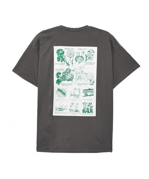 ROSE BUD(ローズバッド)の「Botanical garden T-shirts(Tシャツ/カットソー・レディース・ホワイト/ブラック・ONE SIZE)」の9枚目の写真
