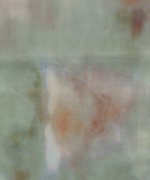 etoll.（エトル）の「ニュアンスチュールシャーリングPO（Tシャツ/カットソー・レディース・グリーン/パープル/ブラック・M）」の22枚目の写真