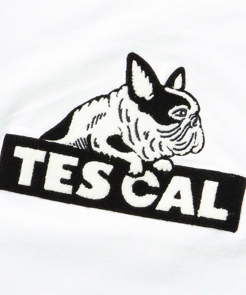 The Endless Summer（エンドレスサマー）の「TES CAL SAGARA LOGO BIG T-SHIRT / ビッグシルエットTシャツ（Tシャツ/カットソー・メンズ・ブラック/ホワイト/ベージュ系その他4/ネイビー・SMALL/MEDIUM/LARGE/X-LARGE）」の7枚目の写真