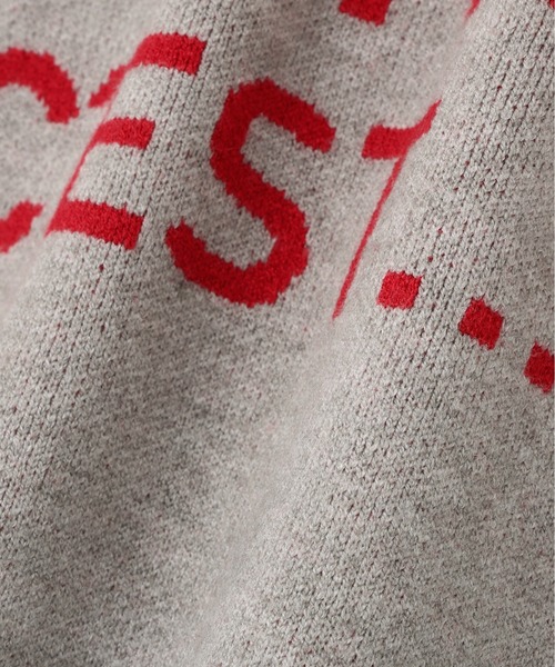 N.（N. Natural Beauty Basic）（エヌエヌナチュラルビューティーベーシック）の「フレンチロゴジャガードニット（ニット/セーター・レディース・グレー/オフホワイト/ベージュ・MEDIUM）」の6枚目の写真