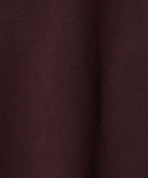 THRASHER(スラッシャー)の「【別注】<THRASHER>プリントスウェット / トレーナー / キッズ 140cm-160cm(スウェット・キッズ・ライトブルー/ワイン/ブラック・M(140-150cm)/L(160cm))」の15枚目の写真